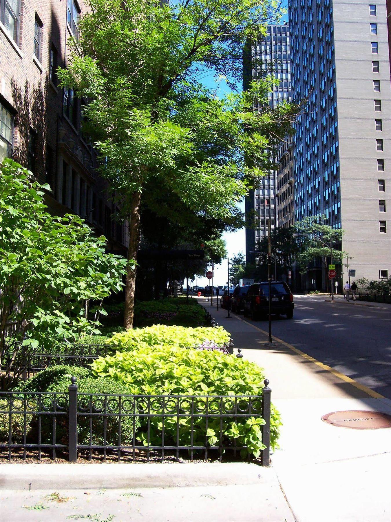 Dewitt Hotel And Suites Chicago Buitenkant foto